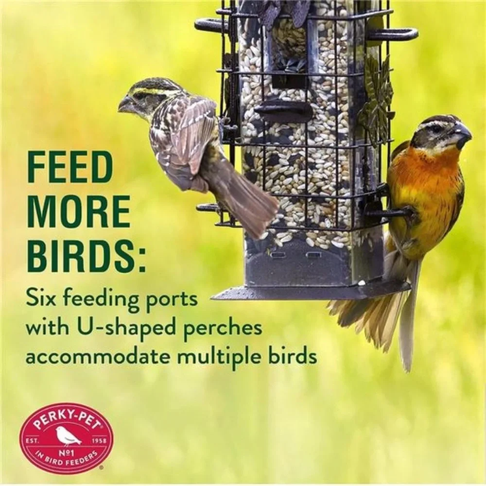 Squirrel-Be-Gone Bird Feeder, 2LB Squirrel Proof Outdoor Wild Bird Feeder
